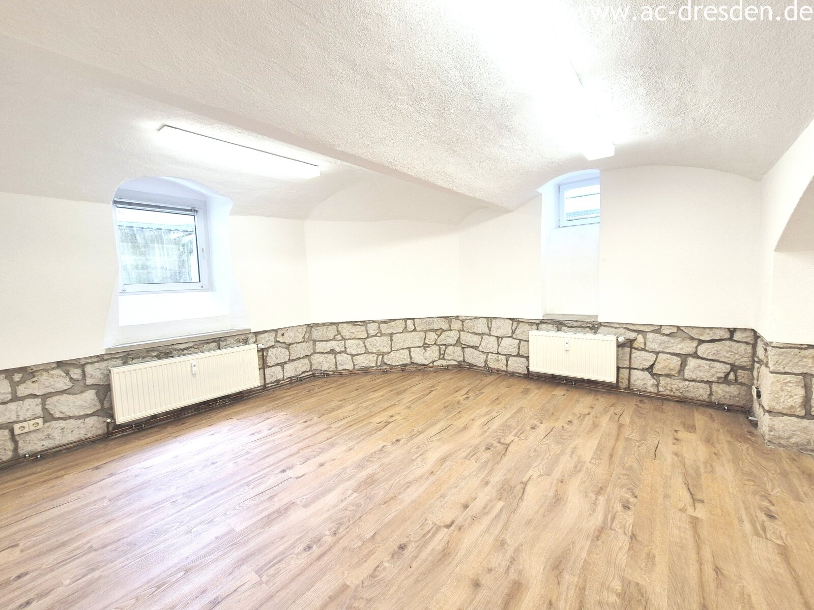 Commercial Space in Dresden-Blasewitz: Ideal for Startups or Practices